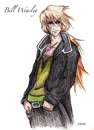 Bill Weasley 2