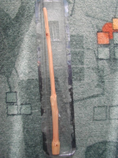 P1010005