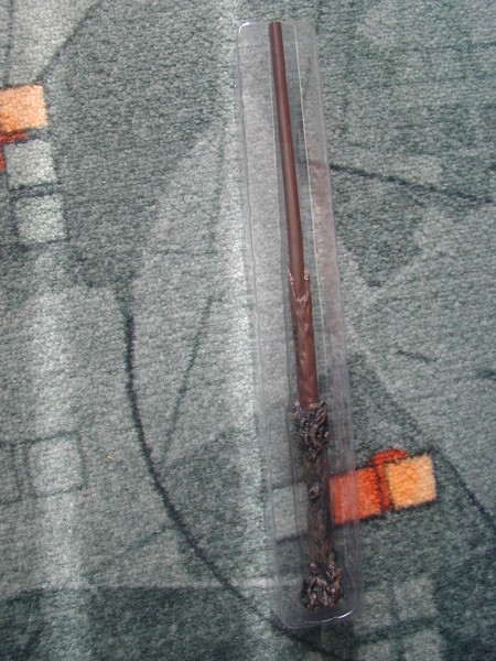 P1010006