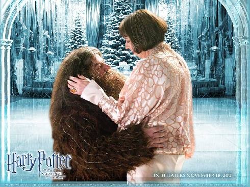 Hagrid a Madam Maxim
